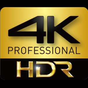 Hikvision - Mini Dome Turbo HD Ottica Varifocale 4K