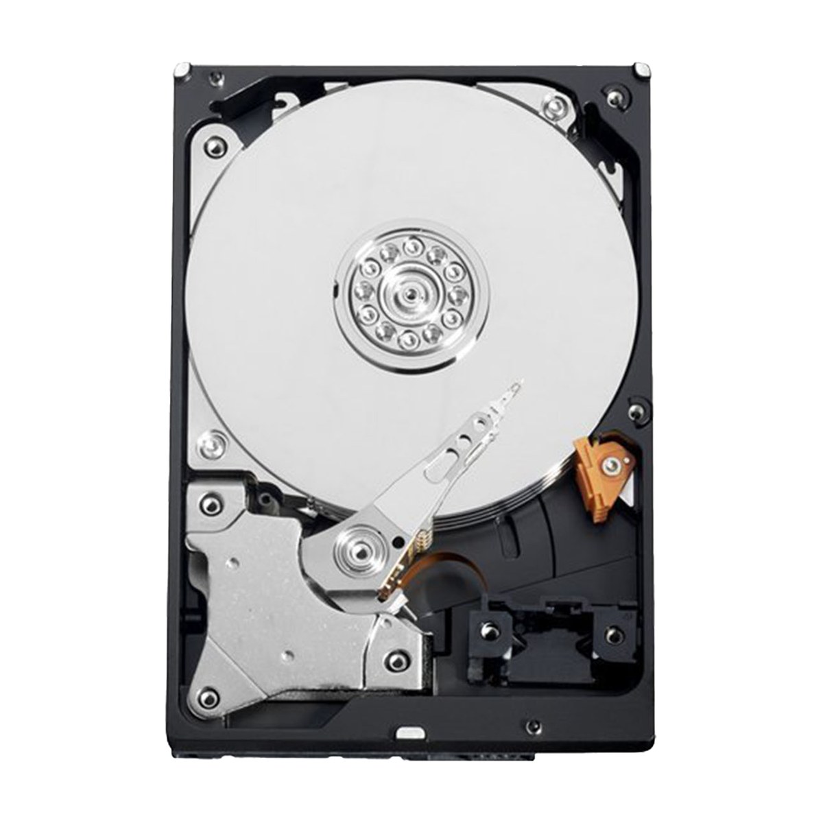 Hard disk WD Purple 1 TB WD10PURZ per videosorveglianza